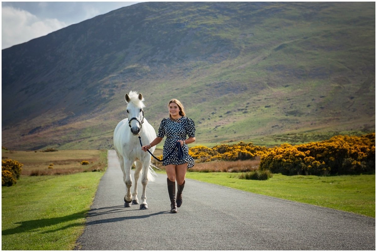 Lake District Horse Portrait Session