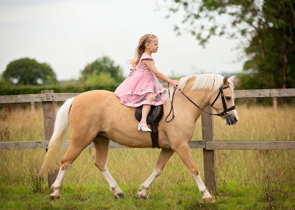A Young Person’s First Pony Portrait Session