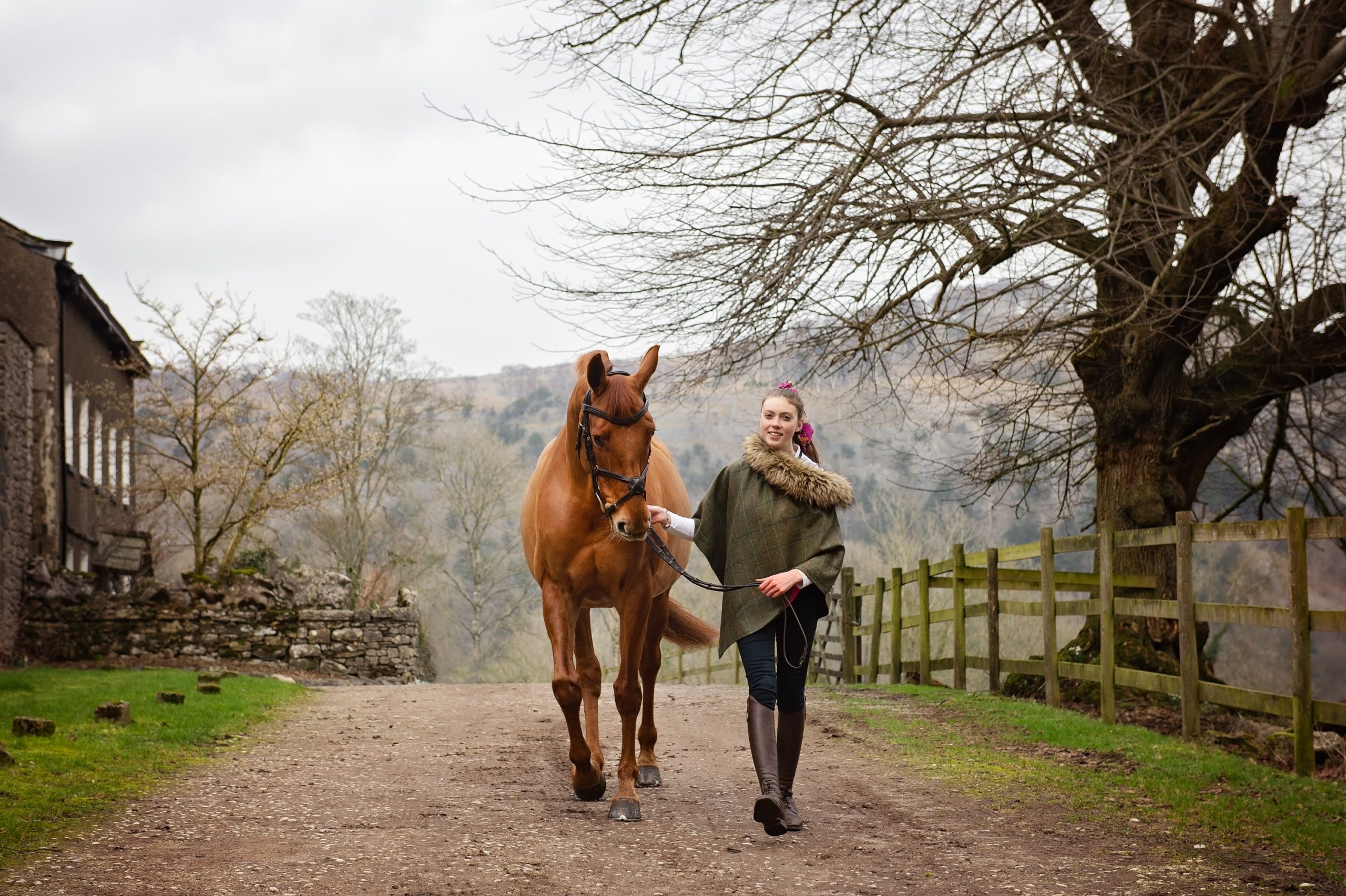 Autumn and Winter Equine Portrait Session’s that can look amazing!
