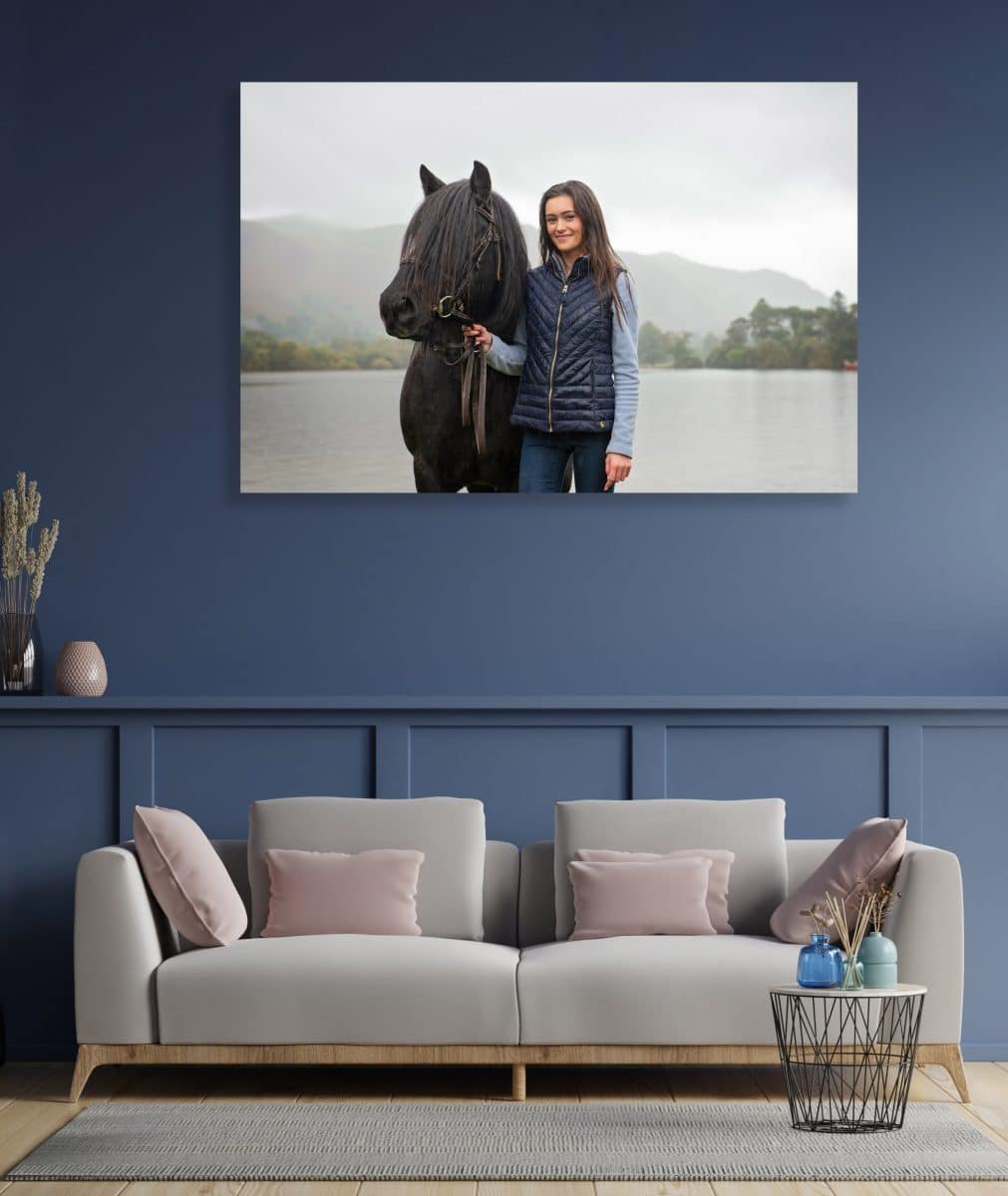 Horse Photoshoot
