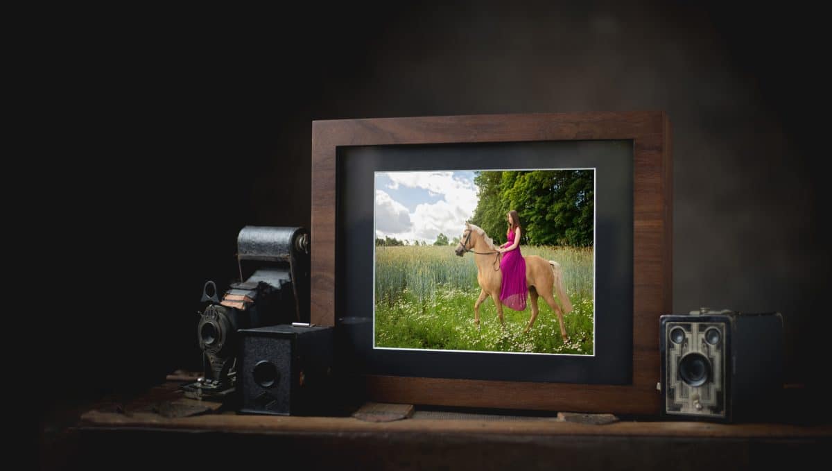 horse portraits - wall art by Emma Campbell
