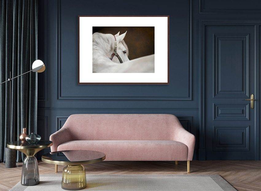 Wall art bespoke to you - your horse photoshoot experience.