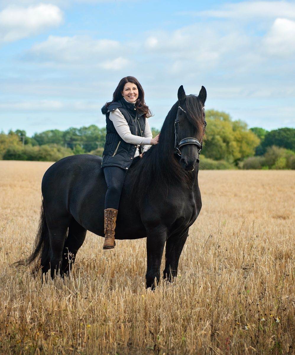 Horse photoshoot - golden oldie
