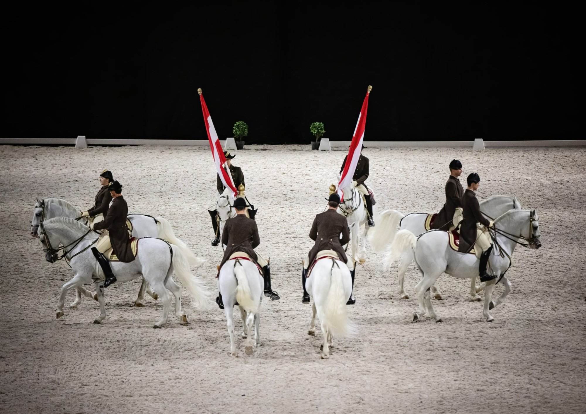 School quadrille performed by the Spanish riding school, while on tour in scotland.