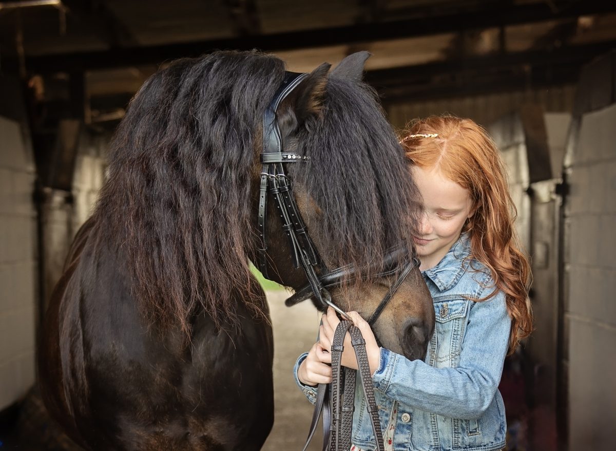 Horse Photoshoot - at stables
