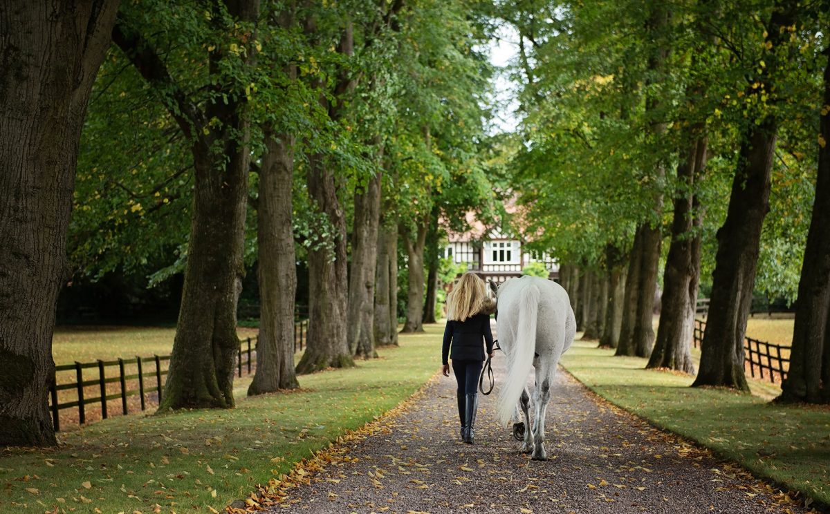 Cheshire - Horse Photoshoot, by Emma Campbell