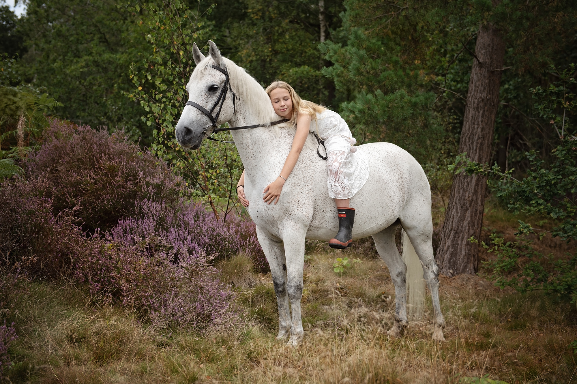 Cheshire heath - Equine Photoshoot - by Emma campbell