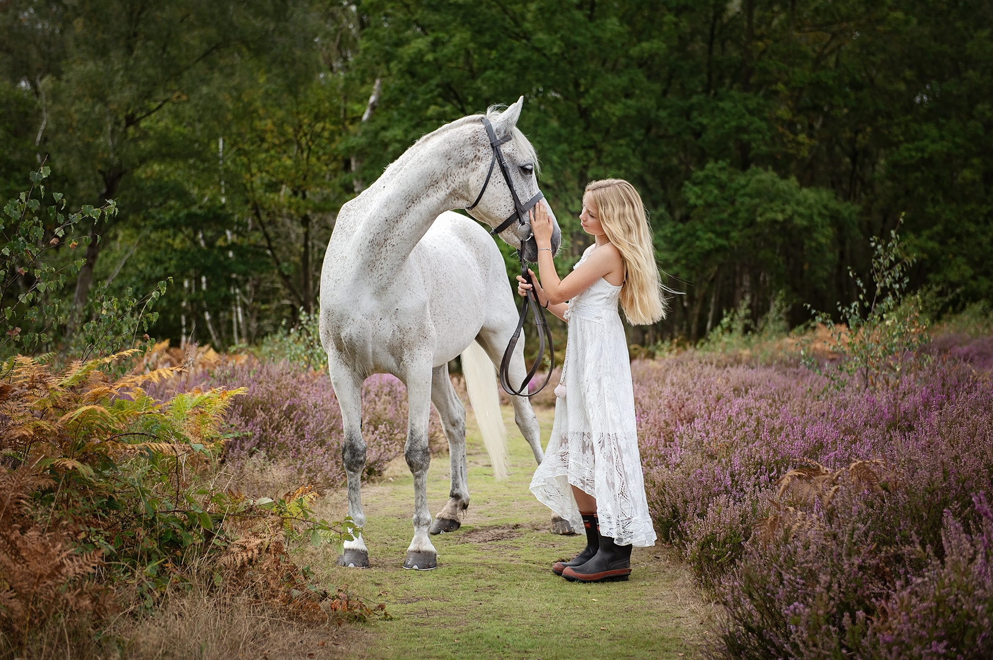 Autumnal Colours can look incredible in an Equine Photoshoot