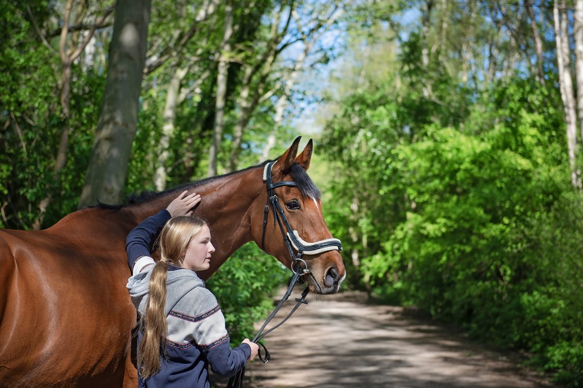 Celebrating a partnership - your equine portrait session