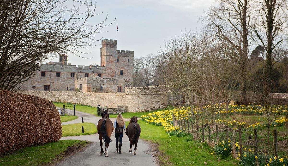Daffodil walk - equine photoshoot in the spring with Emma Campbell