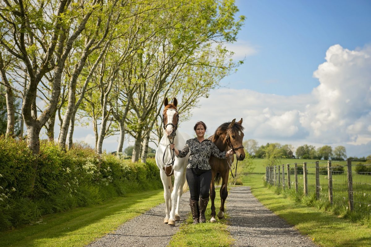 Your Equine Photoshoot - Let emma Campbell show you how amazing you are