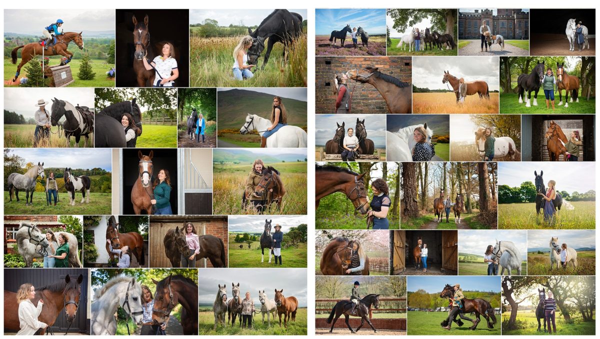 A collection of horse portrait photographs, taken by horse photographer Emma Campbell