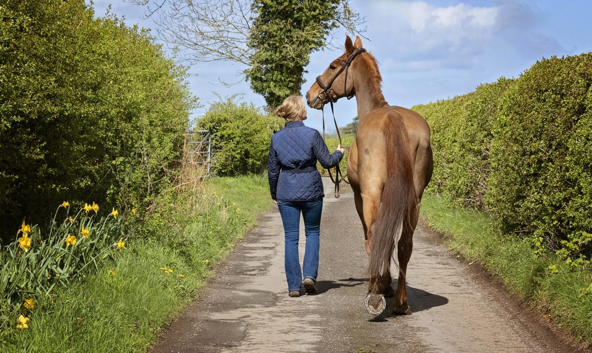 Walking away photograph of Claire and Elijah. Horse photoshoot in Cheshire.