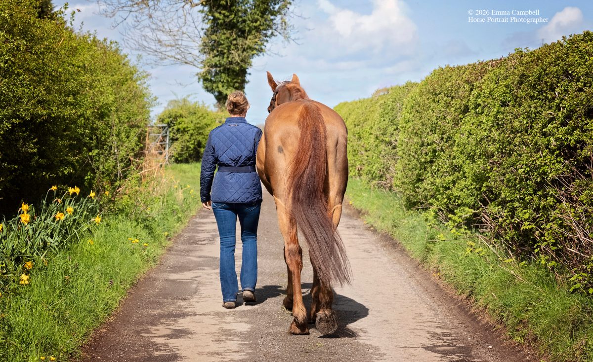 Horse photoshoot - based in Cheshire and photographed by Emma Campbell horse photohgrapher