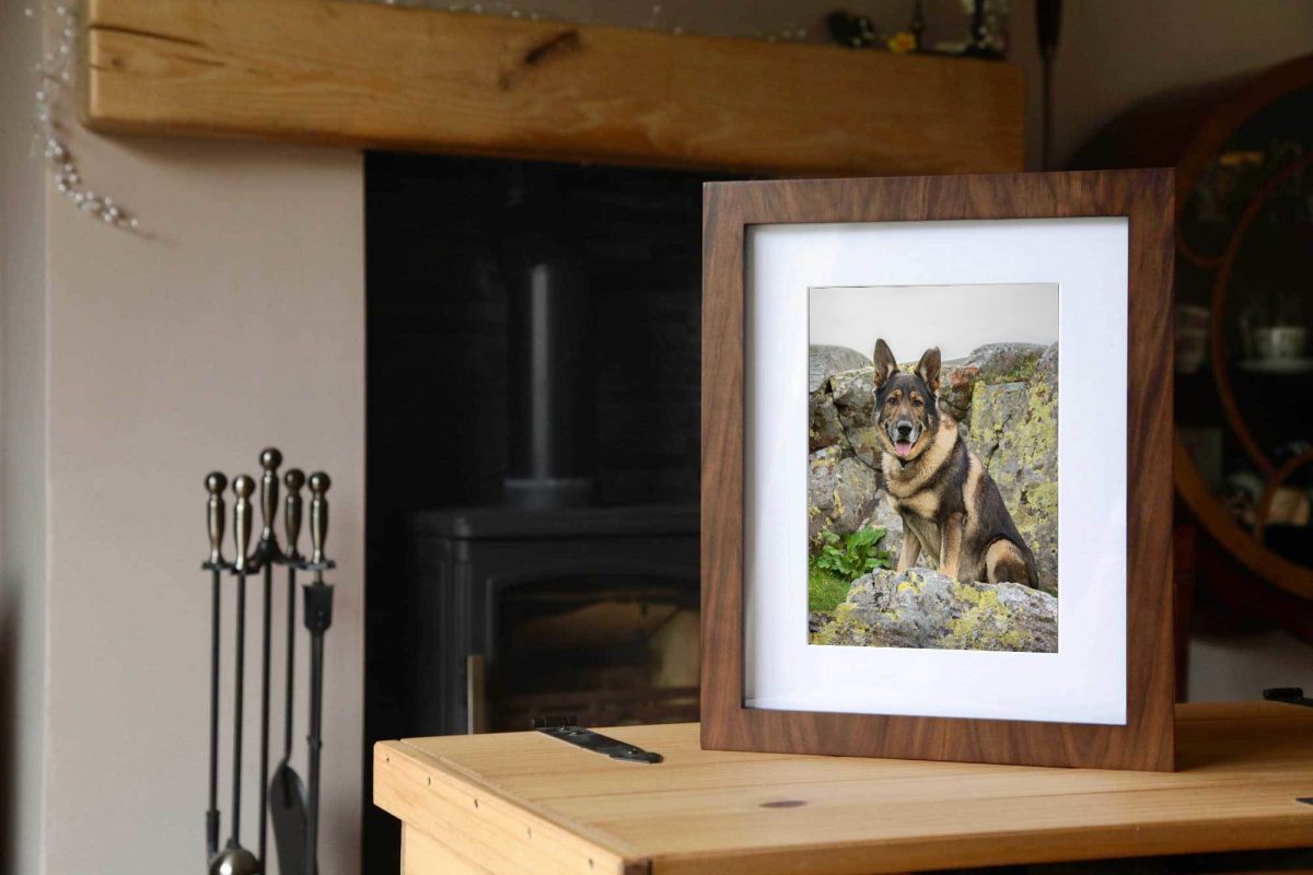 Tresure box for you and your dog - photography by Emma Campbell, master craftsman