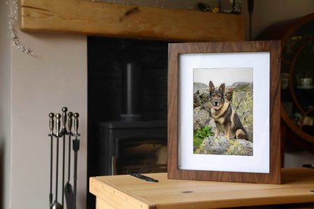 Tresure box for you and your dog - photography by Emma Campbell, master craftsman