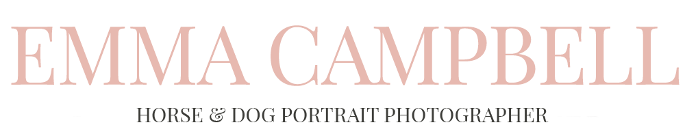 Emma Campbell, Horse and Dog Portrait Photographer