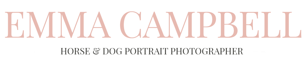 Emma Campbell, Horse and Dog Portrait Photographer