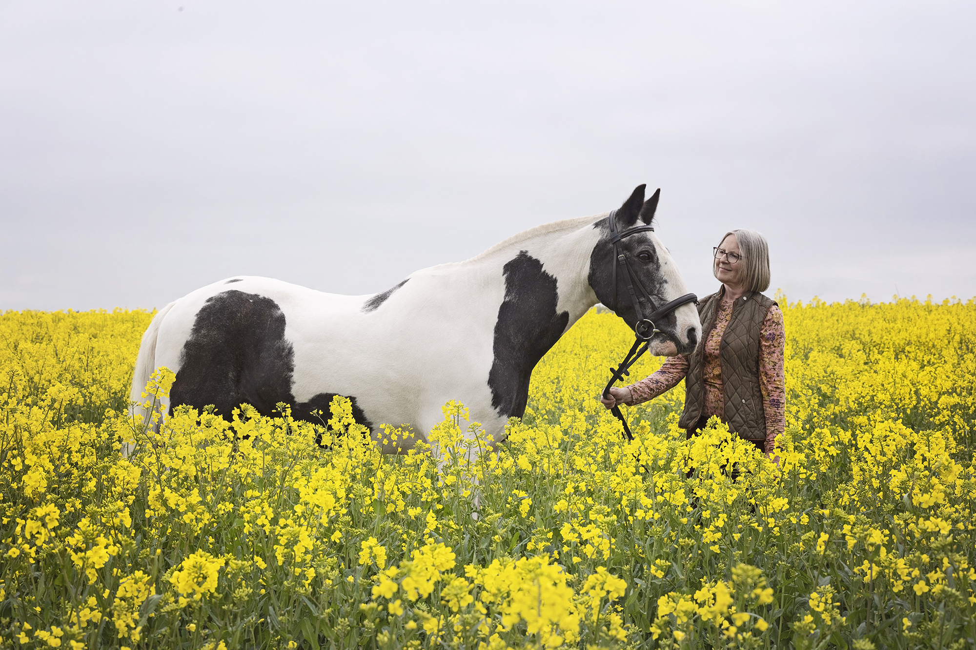 Northumberland Horse Photoshoot, taken in a rapeseed field, by Equine Photographer Emma Campbell