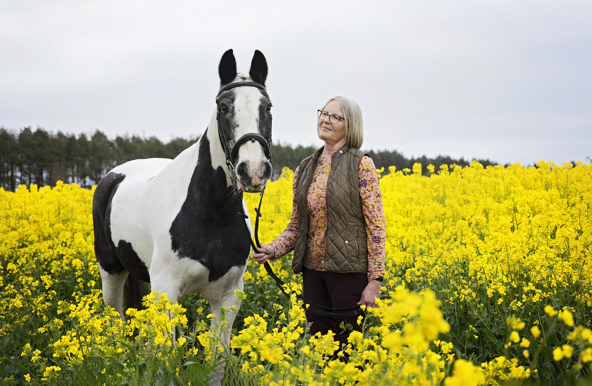 Horse and owner standing in a rapeseed field. Northumberland Equine Photoshoot.