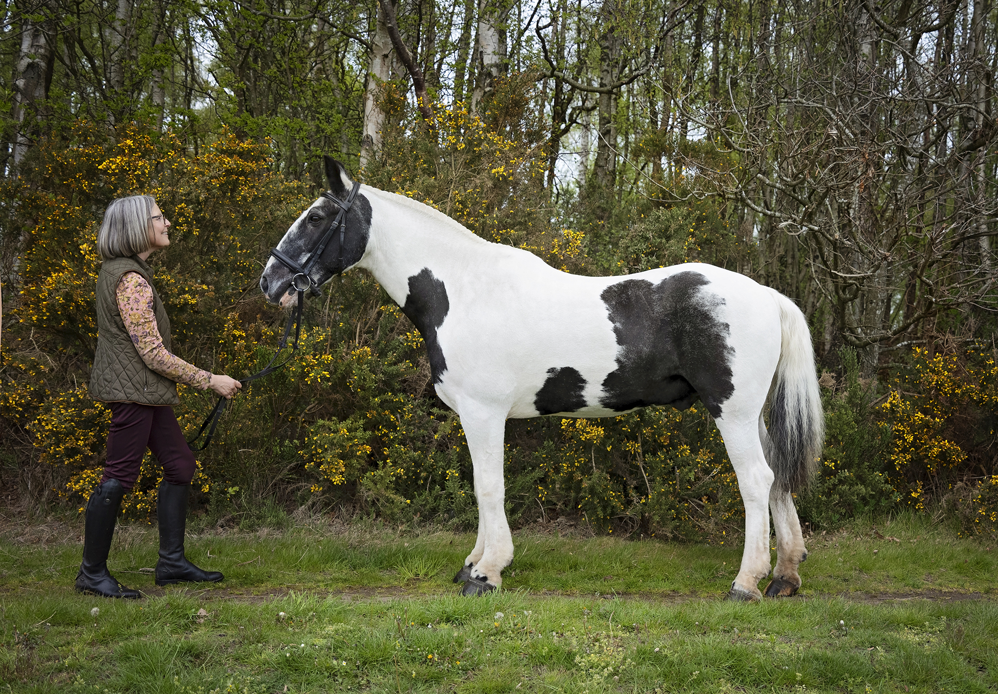 Horse and owner next to yellow gorse. Photographed in Northumberland, by equine photographer Emma Campbell