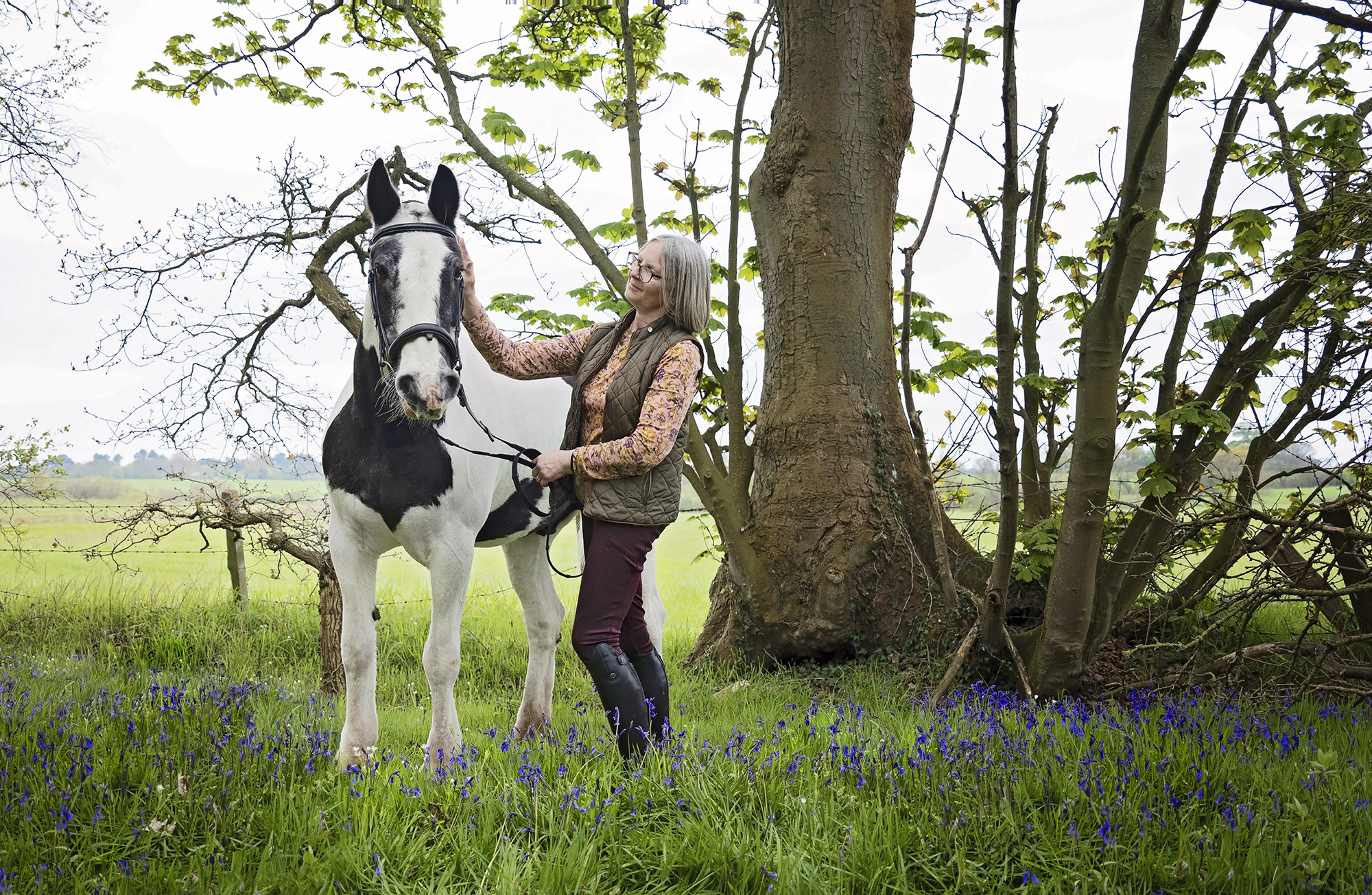 Horse photoshoot - in the bluebell woods, by Emma Campbell, Horse Photorgapher