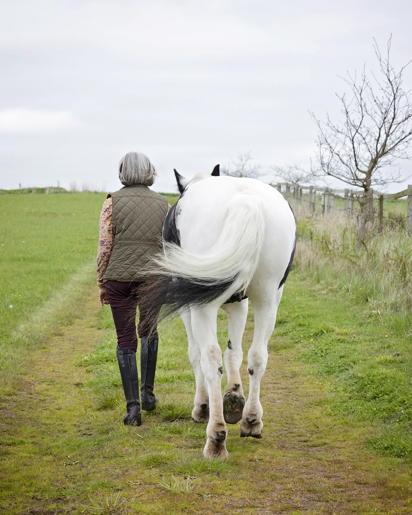 Walking away - horse photoshoot by Emma Campbell