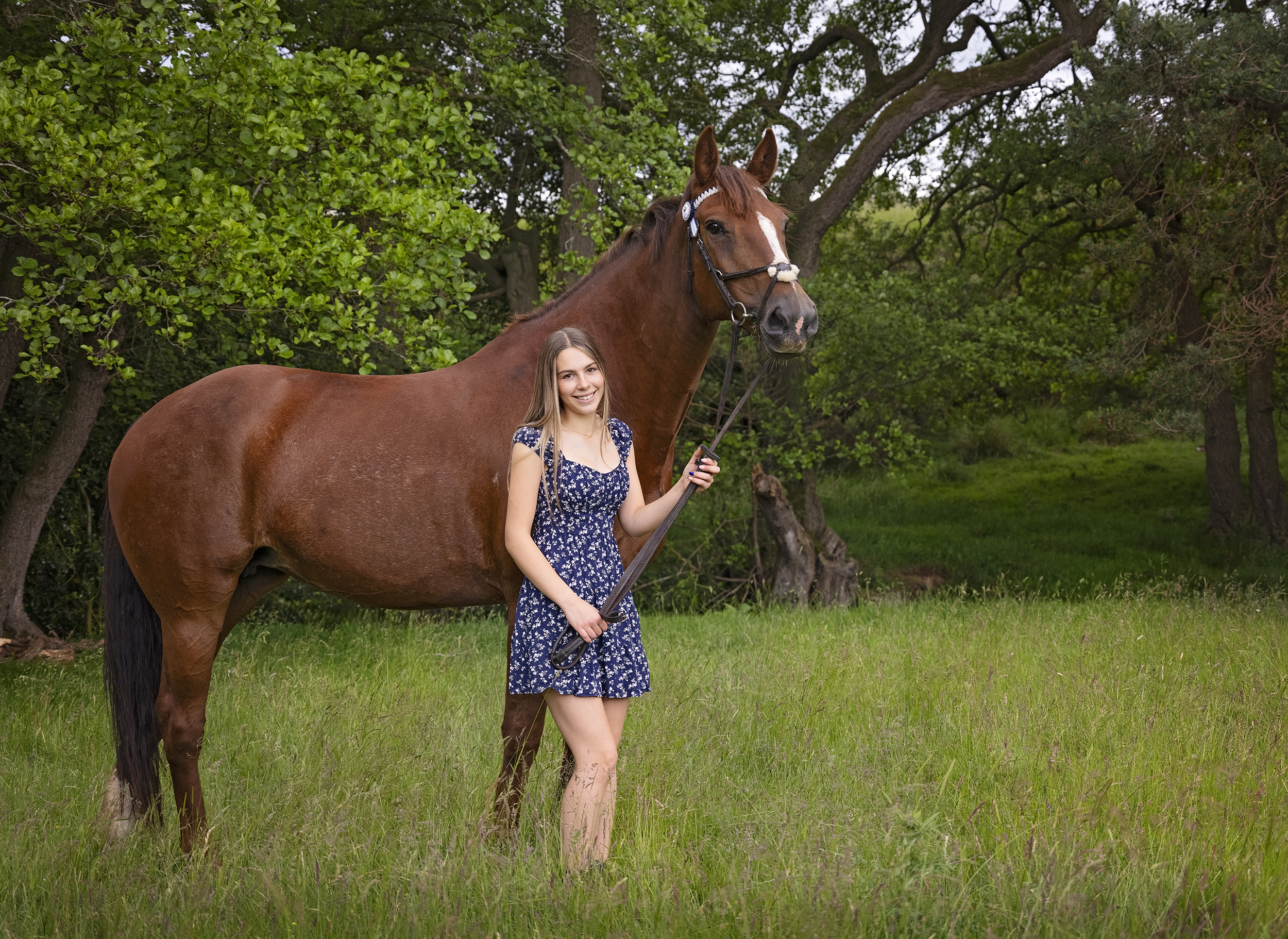 Equine Photoshoot by Emma Campbell, Horse Photographer