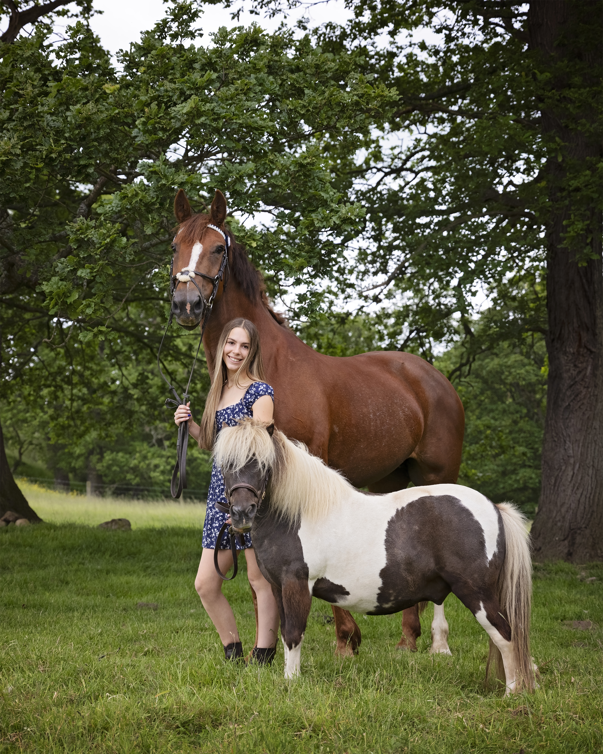Birthday celebrations - Horse Photoshoot by Emma Campbell