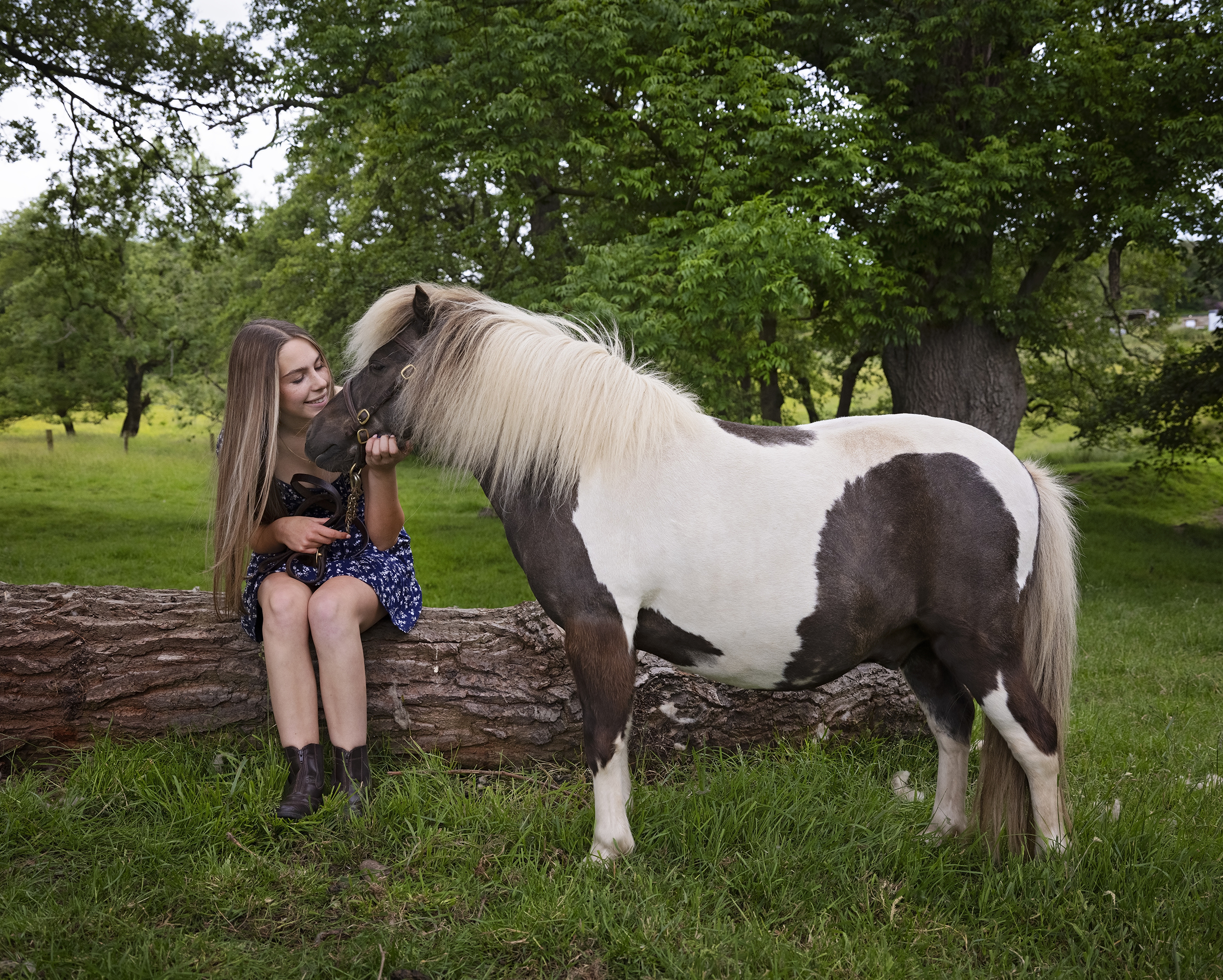 Horse Photoshoot in Northumberland by Emma Campbell